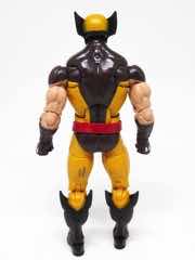 Hasbro Marvel Legends X-Men Wolverine Action Figure