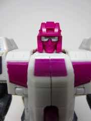 Transformers Generations Power of the Primes Terrorcon Hun-Gurrr Action Figure