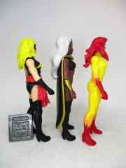 Hasbro Marvel Legends 375 Carol Danvers Action Figure