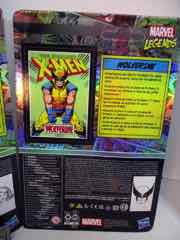 Hasbro Marvel Legends 375 Phoenix and Wolverine Action Figures