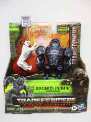 Hasbro Transformers Rise of the Beasts Deluxe Beast Weaponizers Optimus Primal and Arrowstripe Figure