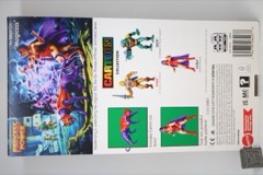 Mattel He-Man and the Masters of the Universe Cartoon Collection Catra Action Figure