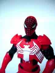 Hasbro Spider-Man (Kid Series) Stealth Ninja Spider-Man Action Figure
