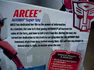 Hasbro Transformers Animated Arcee Action Figure