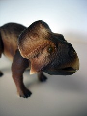 Tyco Dino-Riders Protoceratops and Kanon