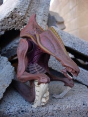 Blizzard StarCraft Zerg Hydralisk Action Figure