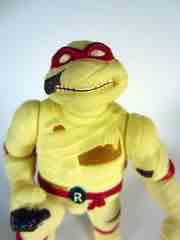 Playmates Teenage Mutant Ninja Turtles Raph as the Mummy Action Figure