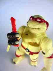 Playmates Teenage Mutant Ninja Turtles Raph as the Mummy Action Figure