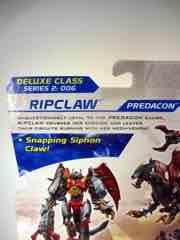 Hasbro Transformers Prime Beast Hunters Ripclaw Action Figure