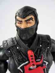 Mattel Masters of the Universe Classics Ninja Warrior Action Figure