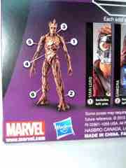 Hasbro Guardians of the Galaxy Marvel Legends Infinite Series Gamora Action Figure