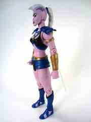 Mattel Masters of the Universe Classics Huntara Action Figure