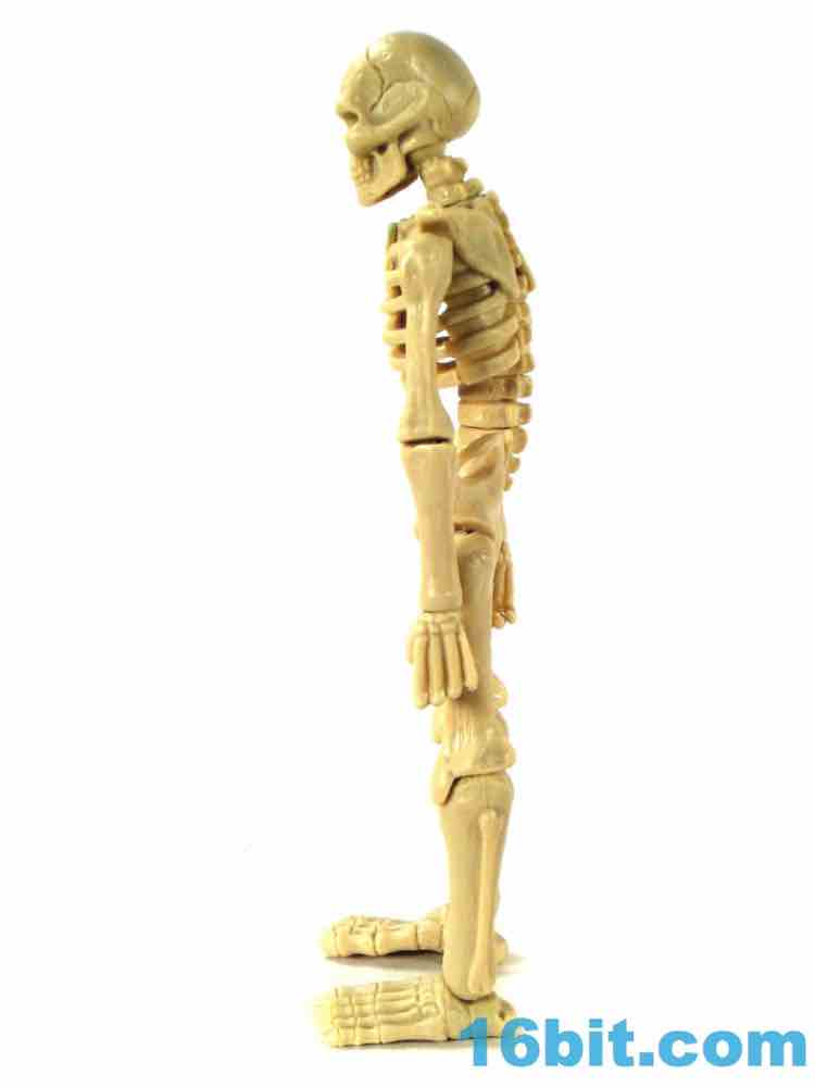 Figure Of The Day Review October Toys Skeleton Warriors Bone