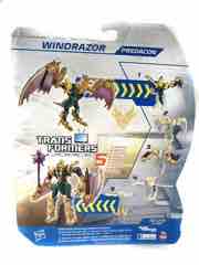 Hasbro Transformers Prime Beast Hunters Windrazor Action Figure