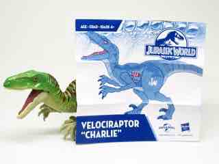 Hasbro Jurassic World Hybrid Velociraptor Action Figure