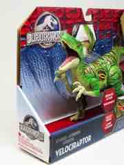 Hasbro Jurassic World Hybrid Velociraptor Action Figure