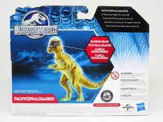 Hasbro Jurassic World Pachycephalosaurus Action Figure