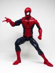 Hasbro Marvel Legends Series Spider-Man Action Figure