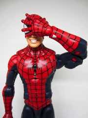 Hasbro Marvel Legends Series Spider-Man Action Figure