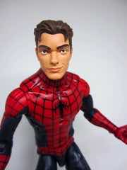 Hasbro Marvel Legends Series Spider-Man Action Figure