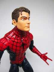 Hasbro Marvel Legends Series Spider-Man Action Figure