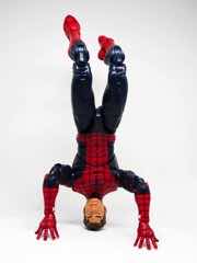 Hasbro Marvel Legends Series Spider-Man Action Figure