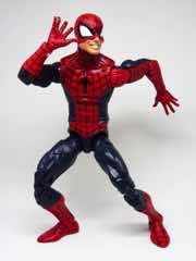 Hasbro Marvel Legends Series Spider-Man Action Figure