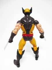 Hasbro Marvel Legends X-Men Wolverine Action Figure