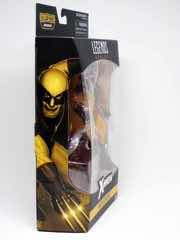 Hasbro Marvel Legends X-Men Wolverine Action Figure