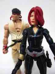 Hasbro Gamerverse Marvel vs. Capcom Infinite Black Widow vs. Ryu Action Figures