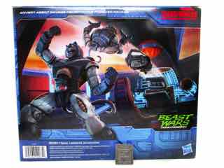 Hasbro Transformers Generations War for Cybertron Trilogy Covert Agent Ravage and Decepticons Forever Ravage Action Figures