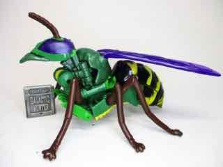 Hasbro Transformers Generations War for Cybertron Kingdom Deluxe Waspinator Action Figure