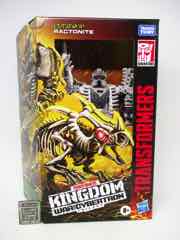 Hasbro Transformers Generations War for Cybertron Kingdom Deluxe Ractonite Action Figure