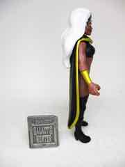 Hasbro Marvel Legends 375 Storm Action Figure