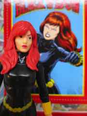 Hasbro Marvel Legends 375 Black Widow Action Figure