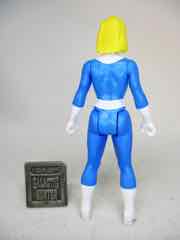 Hasbro Marvel Legends 375 The Invisible Woman Action Figure