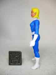 Hasbro Marvel Legends 375 The Invisible Woman Action Figure