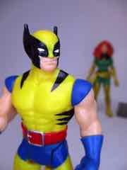 Hasbro Marvel Legends 375 Phoenix and Wolverine Action Figures