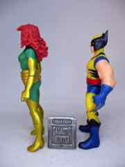 Hasbro Marvel Legends 375 Phoenix and Wolverine Action Figures