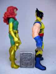 Hasbro Marvel Legends 375 Phoenix and Wolverine Action Figures