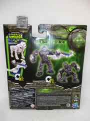 Hasbro Transformers Rise of the Beasts Deluxe Beast Weaponizers Optimus Primal and Arrowstripe Figure