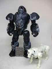 Hasbro Transformers Rise of the Beasts Deluxe Beast Weaponizers Optimus Primal and Arrowstripe Figure