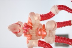 Onell Design Glyos Relgothan Astro Kraken Conversion Set Action Figure