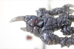 The GodBeast Glyos Void Sectavorian Action Figure