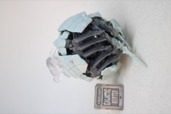 Takara-Tomy Zoids Wild ZW-13 Gusock Figure Kit