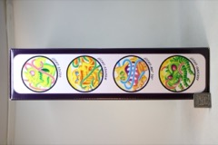 Hasbro The Real Ghostbusters Ecto-Glow Action Figures - 2025 SDCC Exclusive