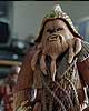 Wookiee Warrior