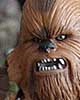 Wookiee Warrior