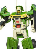 Hardhead