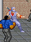 Ninja Gaiden